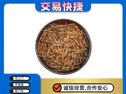 温州市礼品回收虫草.jpg