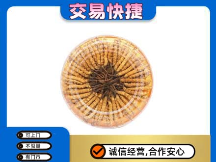 温州市礼品回收虫草礼盒.jpg