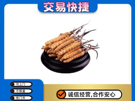温州市礼品回收散虫草.jpg